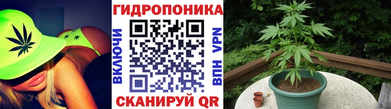Бошки марихуана THC 21%  Валдай 
